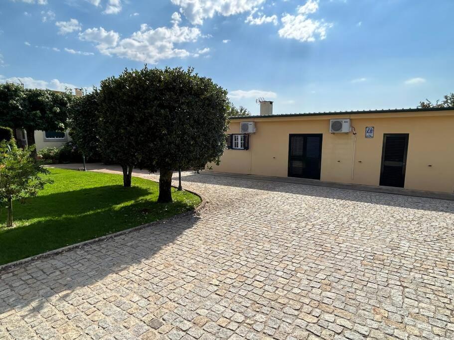 São Martinho de Antas A Tintureiraヴィラ エクステリア 写真