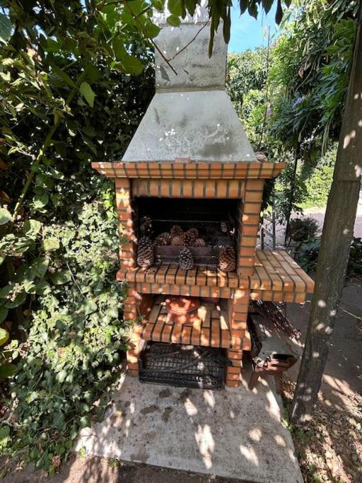 São Martinho de Antas A Tintureiraヴィラ エクステリア 写真