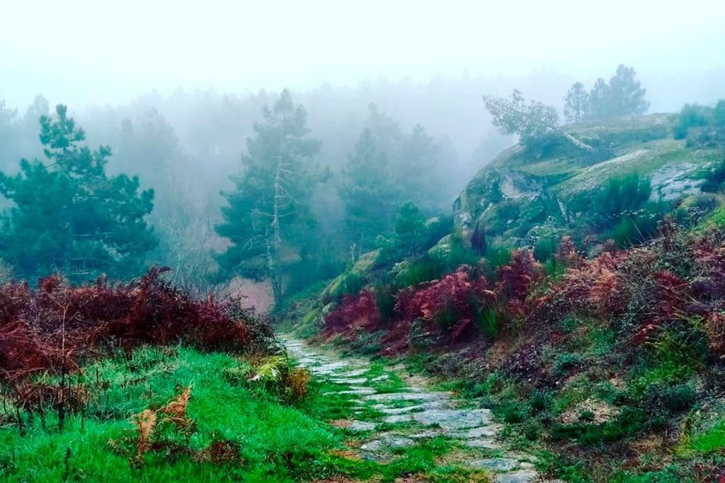 São Martinho de Antas A Tintureiraヴィラ エクステリア 写真