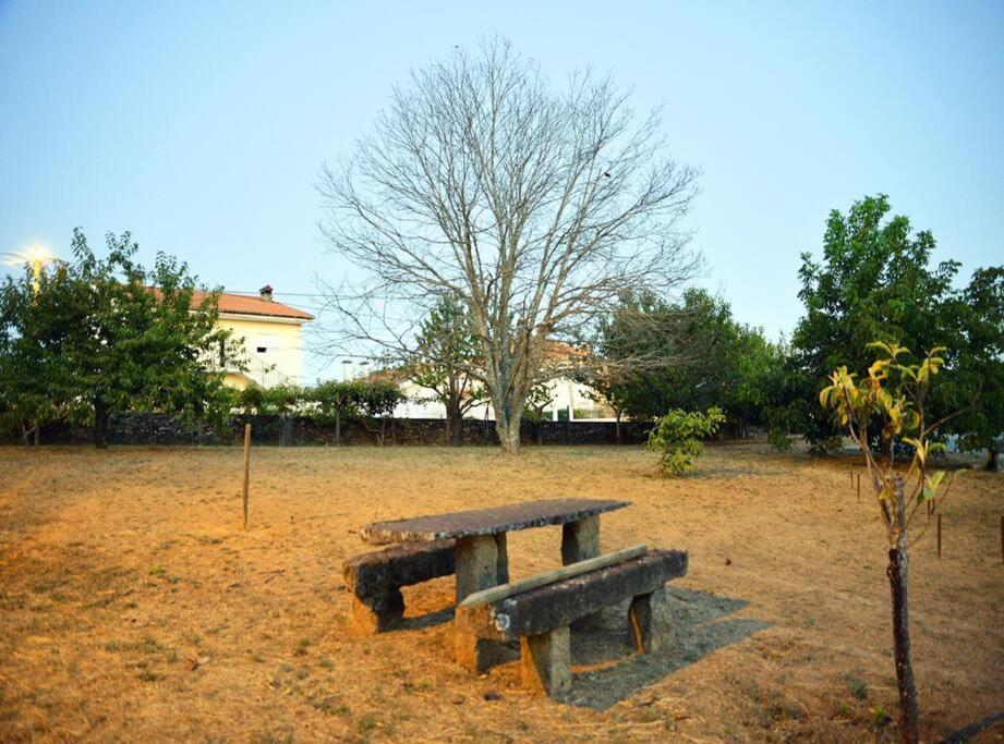 São Martinho de Antas A Tintureiraヴィラ エクステリア 写真