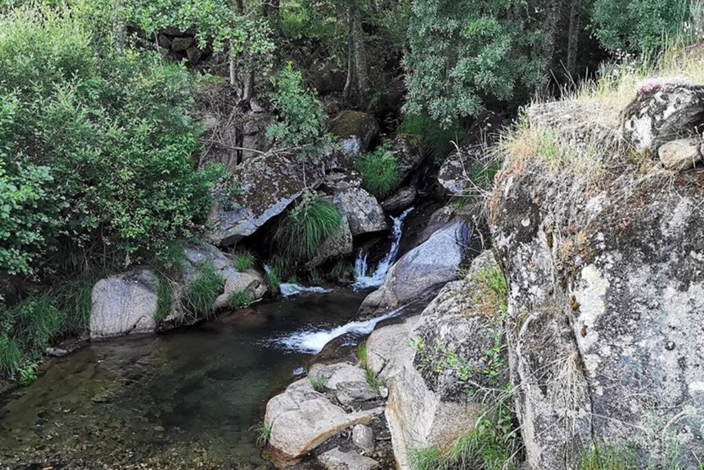 São Martinho de Antas A Tintureiraヴィラ エクステリア 写真